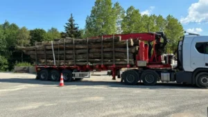 Eichen-Rundholz – LKW-Komplettladung 40 m³