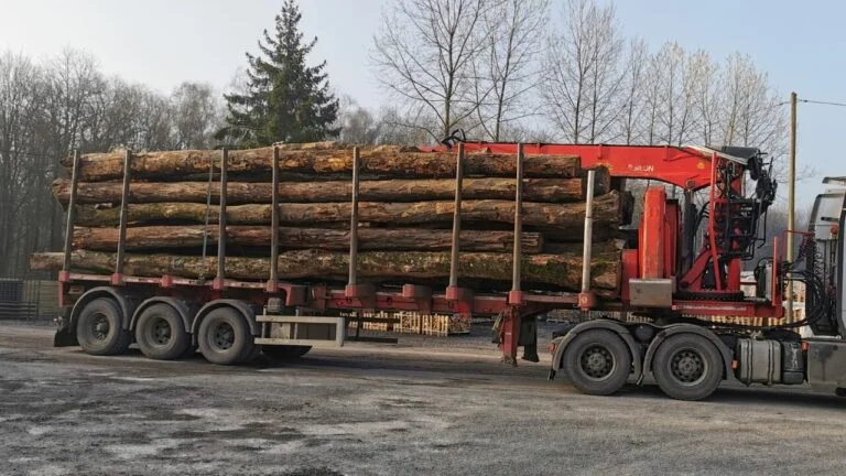 GRUME DE BOIS DE TECK 1 CAMION DE 40M3