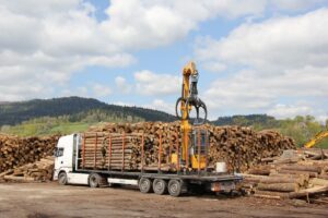 Camion de bois en grume – Hêtre, Chêne, Charme – 60 stères